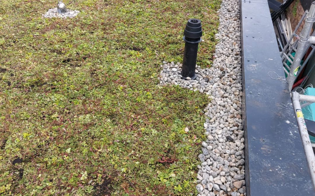 Green, Blue and Brown Roofs