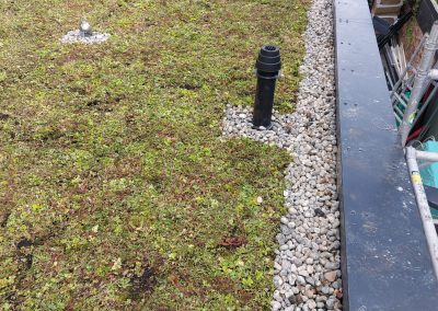 Green, Blue and Brown Roofs